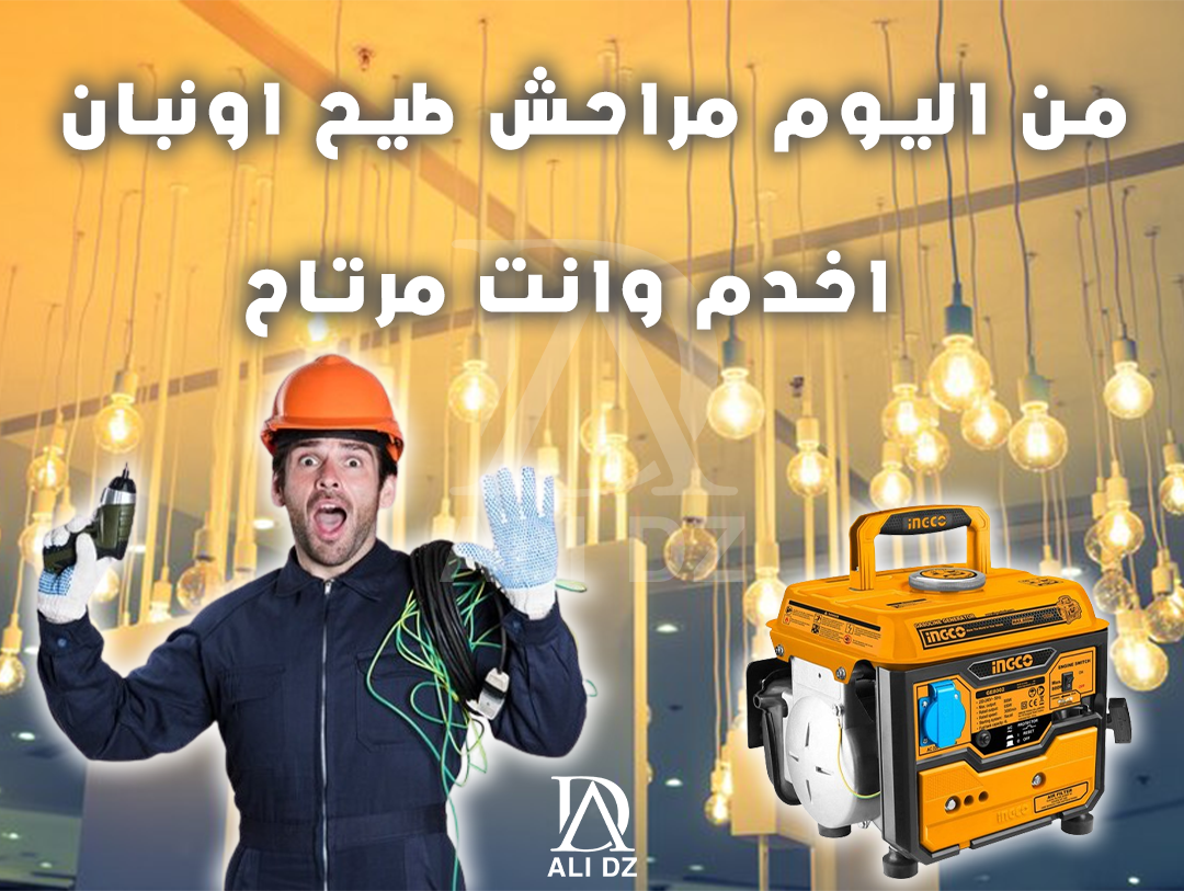 مولد كهرباء 800 واط انكو